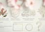 create your visual identity and complete brandbook